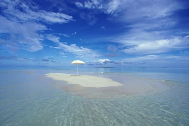 Sea Side Wallpapers   A Great Glimpse Of Nature   Dzinepress