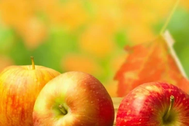 Best Mobile Wallpapers In HD, Smartphone & Tablet Wallpapers 2014