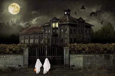 Halloween Horror Horror Wallpapers － Holiday Wallpapers   Free ...