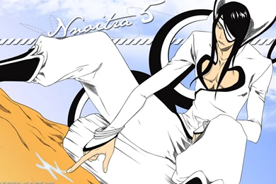 Top Bleach Wallpapers Espada Free Wallpapers