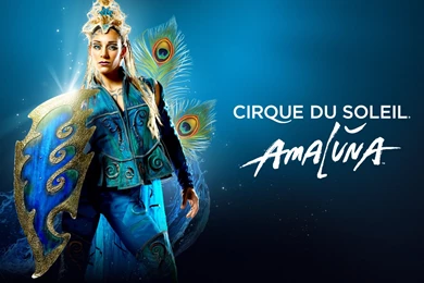 Cirque Du Soleil – The “Funny Business” Phenomenon