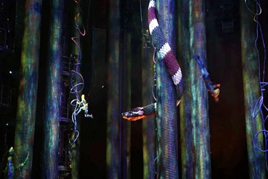 Cirque Du Soleil: Worlds Away Movie Wallpapers