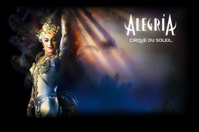 Chess.comTournament   Alegria