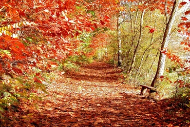 Wallpaper: Super Autumn Scenery Wallpapers