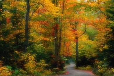 Autumn Wallpapers Scenery Wallpapers Nature