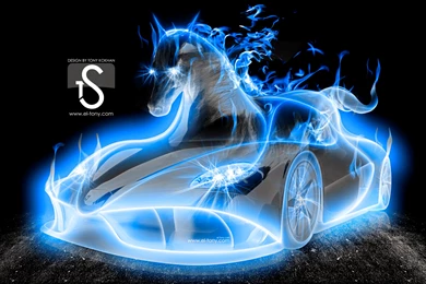 Animal And Car 3d Wallpapers 3d Wallpapers Whollescom