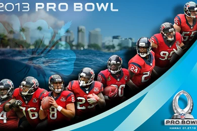 Top Andre Johnson Texans Wallpapers Wallpapers