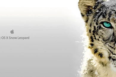 Snow Leopard Mac Os X Wallpapers Computer Wallpapers