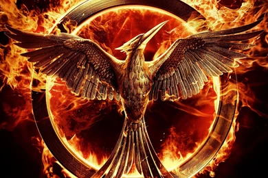 The Hunger Games Mockingjay Wallpapers