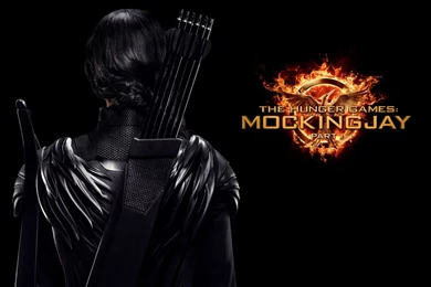 The Hunger Games: Mockingjay   Part 1 2 Backgrounds Wallpapers ...