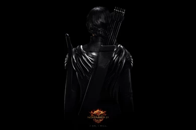 25 The Hunger Games: Mockingjay   Part 1 HD Wallpapers ...