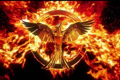 Why Has Jennifer Lawrence Been Removed From Hunger Games Posters ...