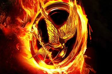 HUNGER GAMES MOCKINGJAY Adventure Sci fi Fantasy Wallpapers ...