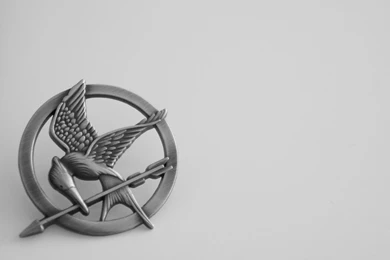 Mockingjay Wallpapers By Kitkatluvspie1329 On DeviantArt