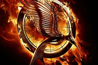 Download Hunger Games Mockingjay Wallpapers HD