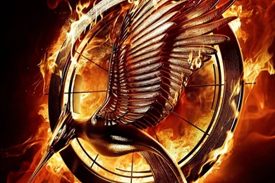 The Hunger Games: Mockingjay   Part 1