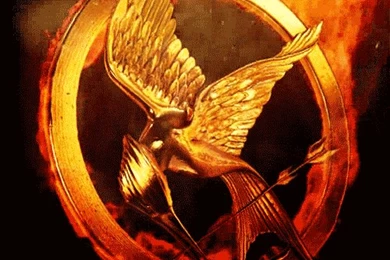 Mockingjay (bird)   The Hunger Games Wiki   Wikia