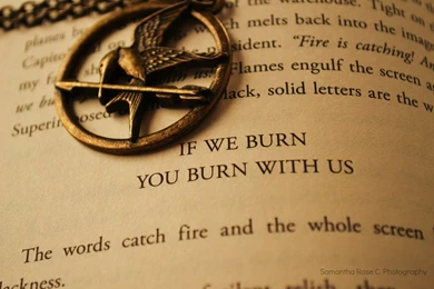 Touching Quotes Mockingjay. QuotesGram