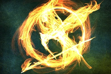 Mockingjay Pin By Karmillina On DeviantArt