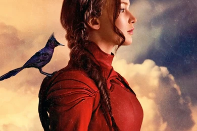 Download Wallpapers 1400x1050 The Hunger Games, Mockingjay ...