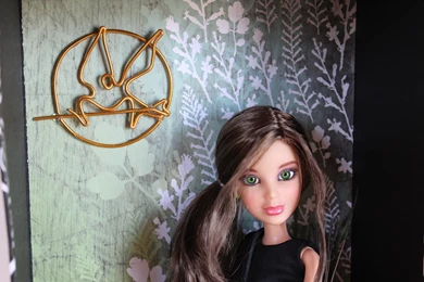 My Froggy Stuff: Custom Katniss Everdeen Doll