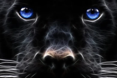 Fantasy Wallpapers Free: Fantasy 3d Wallpapers