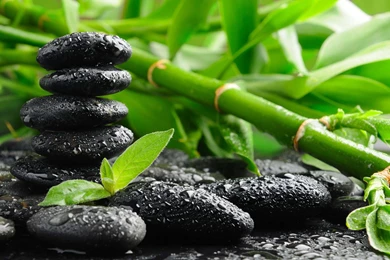 ZEN Mood Bokeh Garden Buddhism Religion Wallpapers