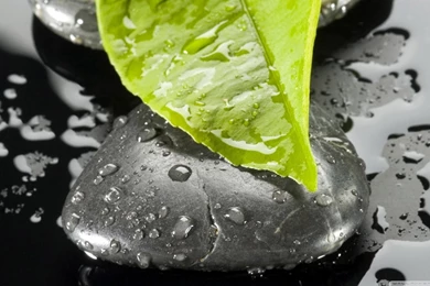 Zen Stone And Leaf HD Desktop Wallpapers : High Definition ...