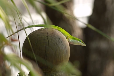 Zen Desktop Backgrounds   Wallpapers Zone