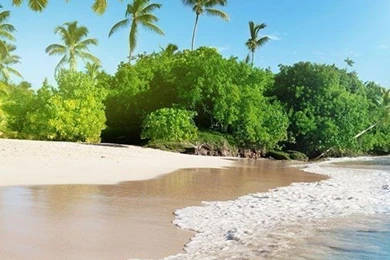 Beach Live Wallpapers   Android Apps On Google Play