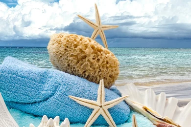 Summer Beach Book Seashells Sea Stars Android Wallpapers Free Download