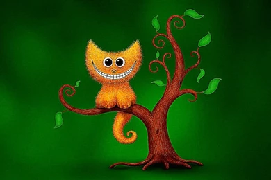 Cats Wallpapers And Backgrounds Desktop Nexus