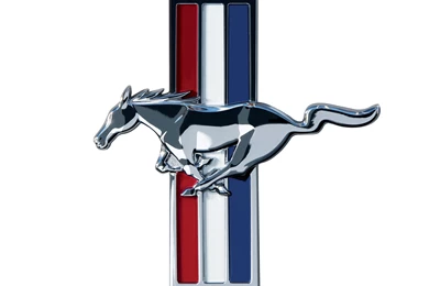 Ford Mustang Ford Mustang Logo Full HD Sublime Wallpapers Free HD ...