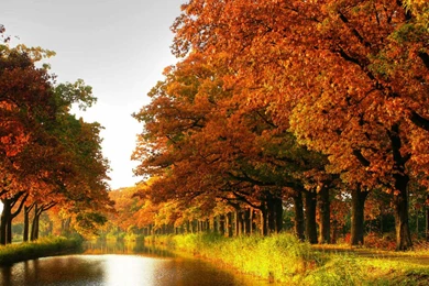Nice_Fall_River_Background.jpg?m=1399676400