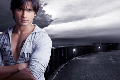 Sexy Shahid Kapoor Hd Pictures Beautiful Bollywood Actor Shahid ...