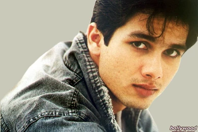BollywoodWizard.com : Shahid Kapoor Wallpapers (Page 2 Of 3)