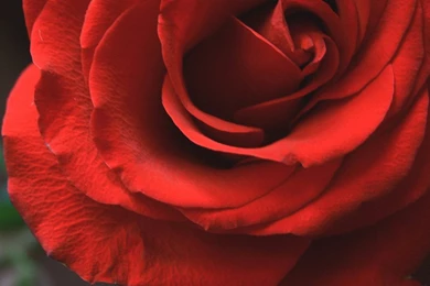 Je T'aime By XChristina27x On DeviantArt