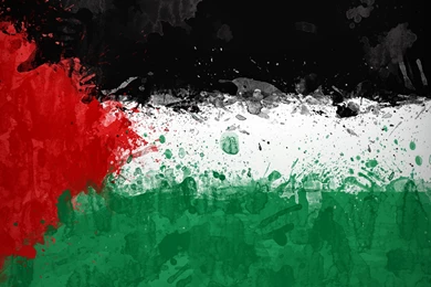 Download Wallpapers 2560x1600 Palestine, Background, Texture ...