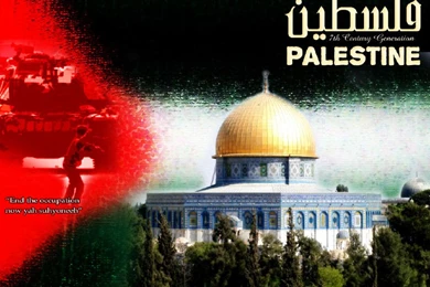 Wallpapers Free Palestine 800x600