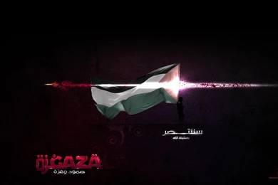 Wallpapers Playboy Logo Palestine 1920x1080