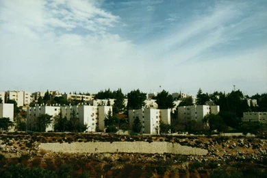 HD Palestine Wallpapers   New Post Has Been Published On Windows ...