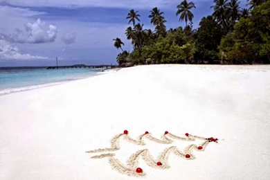 Beach Christmas Tree Wallpapers Free Desktop