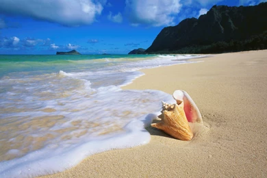 Download Free Christmas Beach Desktop Wallpapers HD