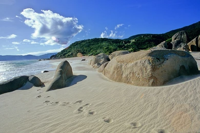 Wallpapers, China, Viewthread, Christmas, Sanya, Beach, Nature ...