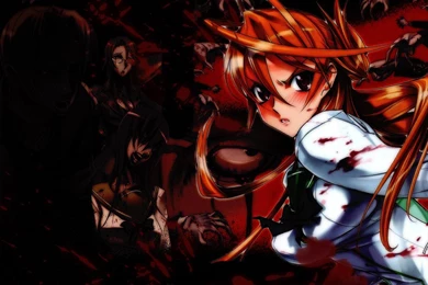 Highschool Of The Dead HD Wallpapers