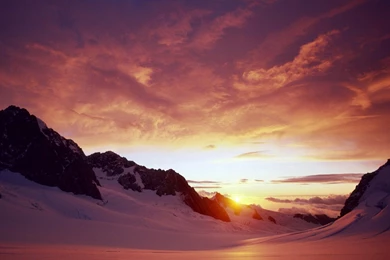 Glamorous Wallpapers