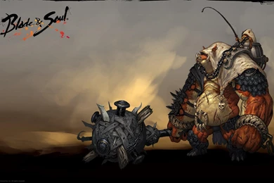 Video Games Hammer Artwork Mmorpg Blade And Soul Wallpapers