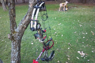 Full Review PSE Set Up, DCA Stabilizer, VPA Broadhead, Ripcord ...