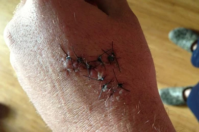 Is Bear Archery A Top Notch Brand?