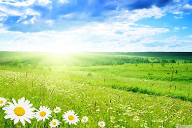 Spring Nature Wallpapers   Wallpapers Cave